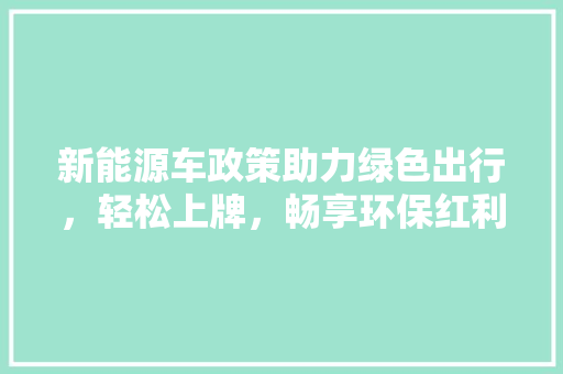 新能源车政策助力绿色出行，轻松上牌，畅享环保红利 汽车配件