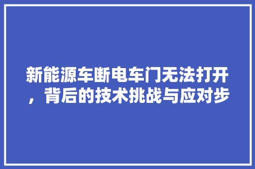 新能源车断电车门无法打开，背后的技术挑战与应对步骤