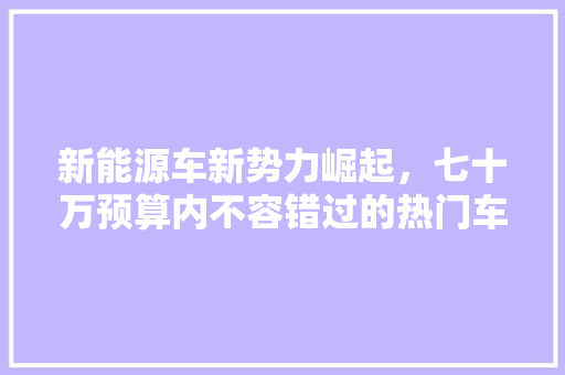 新能源车新势力崛起，七十万预算内不容错过的热门车型