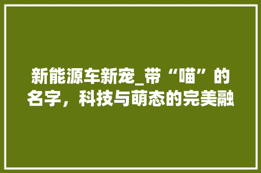 新能源车新宠_带“喵”的名字，科技与萌态的完美融合