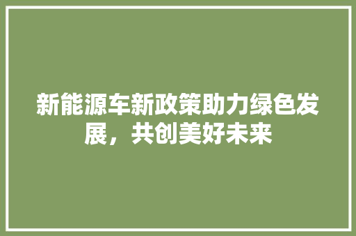 新能源车新政策助力绿色发展，共创美好未来 汽车配件
