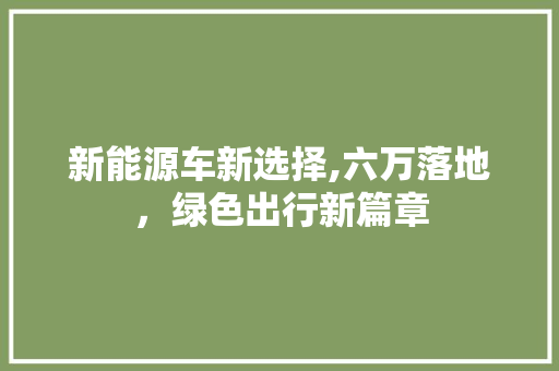 新能源车新选择,六万落地，绿色出行新篇章