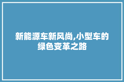 新能源车新风尚,小型车的绿色变革之路