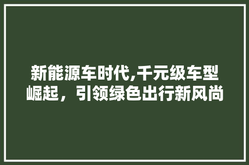 新能源车时代,千元级车型崛起，引领绿色出行新风尚