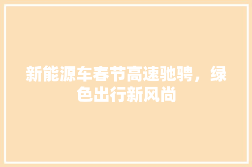新能源车春节高速驰骋，绿色出行新风尚