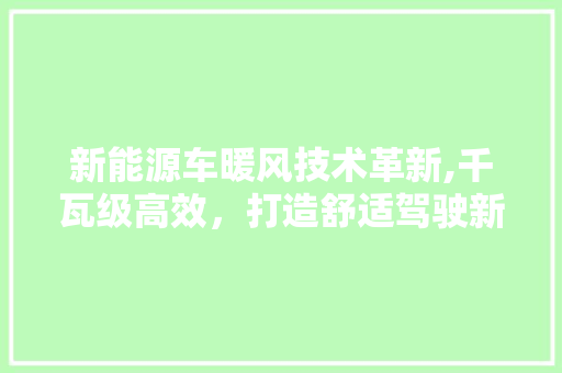 新能源车暖风技术革新,千瓦级高效，打造舒适驾驶新体验