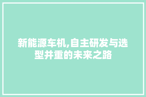 新能源车机,自主研发与选型并重的未来之路