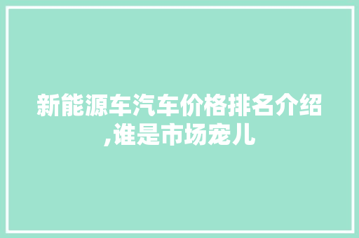 新能源车汽车价格排名介绍,谁是市场宠儿
