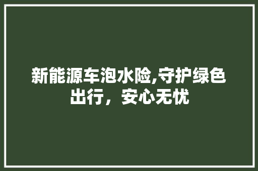 新能源车泡水险,守护绿色出行，安心无忧