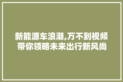 新能源车浪潮,万不到视频带你领略未来出行新风尚 新款车型
