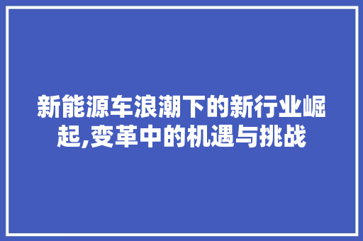 新能源车浪潮下的新行业崛起,变革中的机遇与挑战