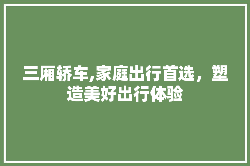 三厢轿车,家庭出行首选，塑造美好出行体验 汽车配件