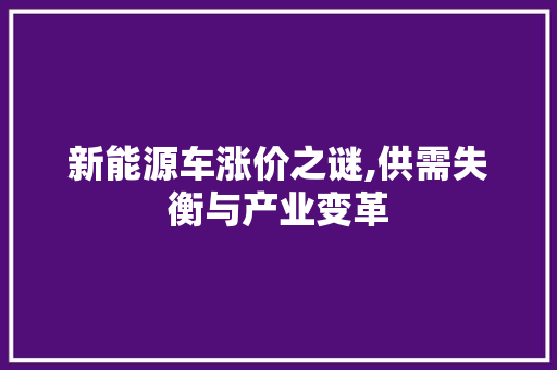 新能源车涨价之谜,供需失衡与产业变革 新能源汽车