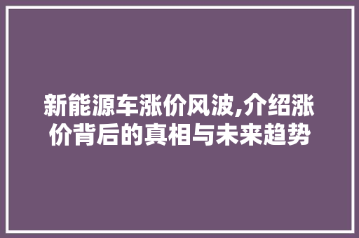 新能源车涨价风波,介绍涨价背后的真相与未来趋势