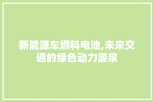 新能源车燃料电池,未来交通的绿色动力源泉 汽车配件