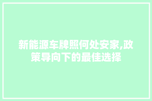 新能源车牌照何处安家,政策导向下的最佳选择