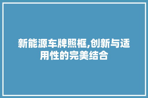 新能源车牌照框,创新与适用性的完美结合