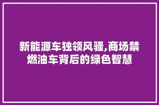 新能源车独领风骚,商场禁燃油车背后的绿色智慧