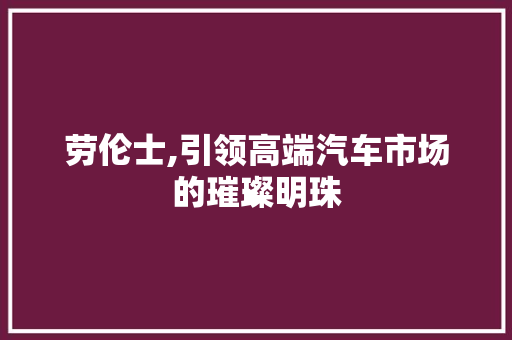 劳伦士,引领高端汽车市场的璀璨明珠