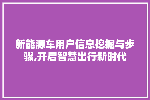 新能源车用户信息挖掘与步骤,开启智慧出行新时代