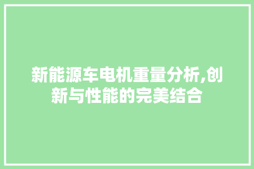 新能源车电机重量分析,创新与性能的完美结合 底盘配件