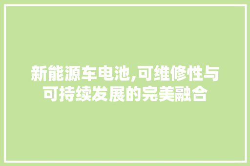 新能源车电池,可维修性与可持续发展的完美融合