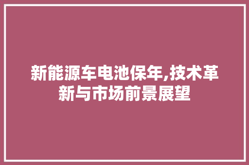 新能源车电池保年,技术革新与市场前景展望