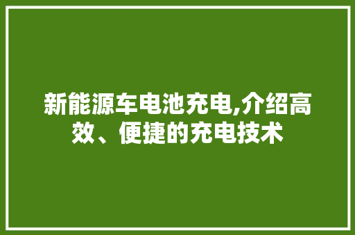 新能源车电池充电,介绍高效、便捷的充电技术