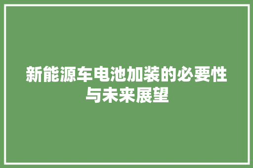 新能源车电池加装的必要性与未来展望