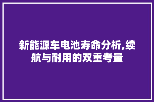 新能源车电池寿命分析,续航与耐用的双重考量 蓄电池配件