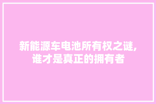 新能源车电池所有权之谜,谁才是真正的拥有者 车灯配件