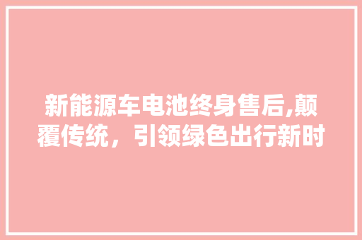 新能源车电池终身售后,颠覆传统，引领绿色出行新时代