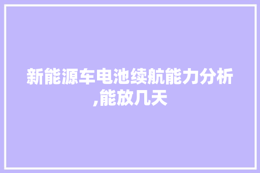 新能源车电池续航能力分析,能放几天