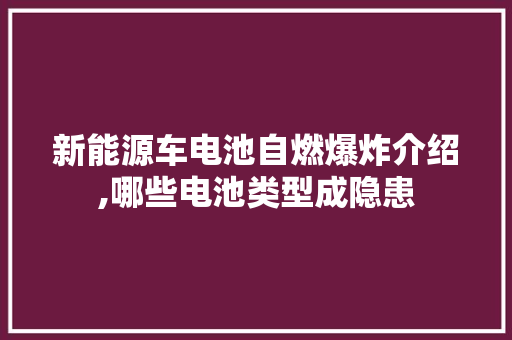 新能源车电池自燃爆炸介绍,哪些电池类型成隐患 新款车型