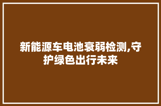 新能源车电池衰弱检测,守护绿色出行未来