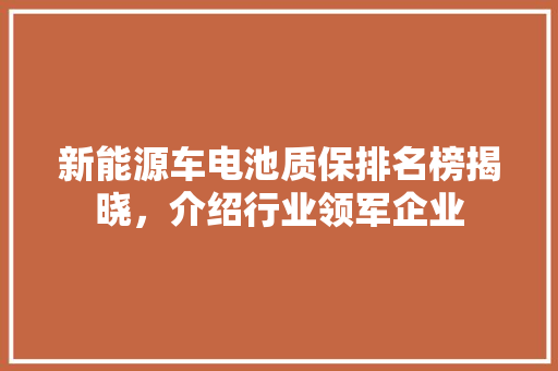 新能源车电池质保排名榜揭晓，介绍行业领军企业