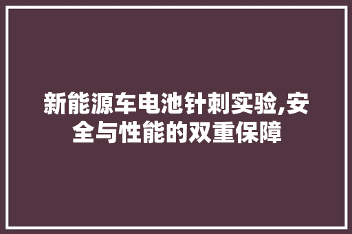 新能源车电池针刺实验,安全与性能的双重保障