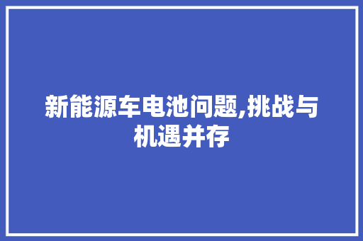 新能源车电池问题,挑战与机遇并存
