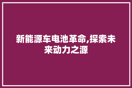 新能源车电池革命,探索未来动力之源