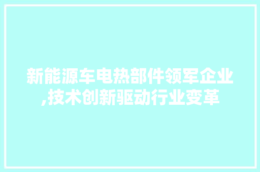 新能源车电热部件领军企业,技术创新驱动行业变革