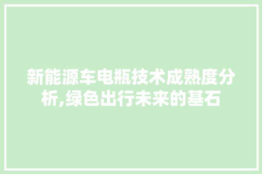 新能源车电瓶技术成熟度分析,绿色出行未来的基石