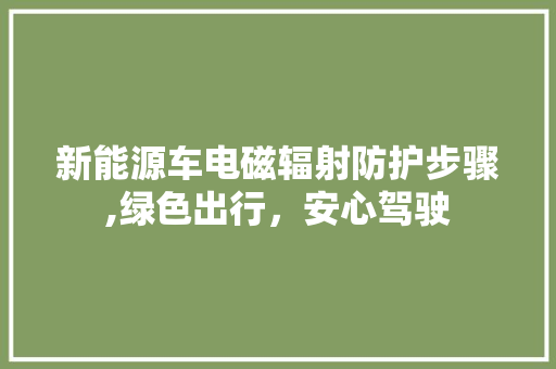 新能源车电磁辐射防护步骤,绿色出行，安心驾驶
