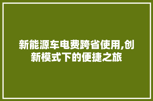 新能源车电费跨省使用,创新模式下的便捷之旅