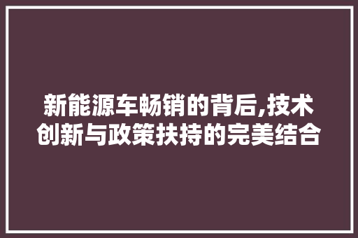 新能源车畅销的背后,技术创新与政策扶持的完美结合
