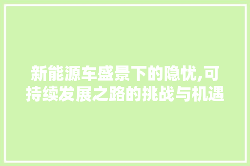 新能源车盛景下的隐忧,可持续发展之路的挑战与机遇
