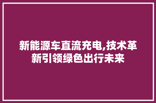 新能源车直流充电,技术革新引领绿色出行未来