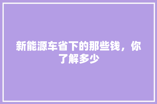 新能源车省下的那些钱，你了解多少