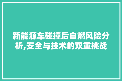 新能源车碰撞后自燃风险分析,安全与技术的双重挑战