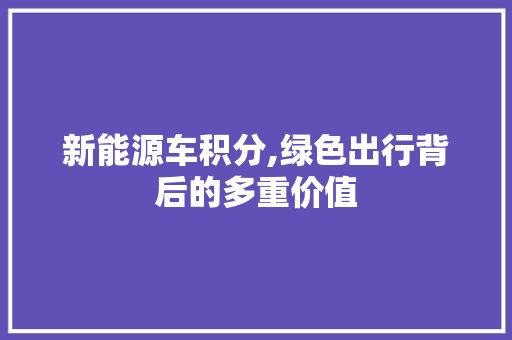 新能源车积分,绿色出行背后的多重价值