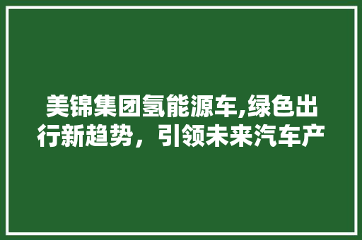 美锦集团氢能源车,绿色出行新趋势，引领未来汽车产业变革 新能源汽车